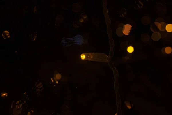 新年の庭は暗い光で密集していた 暗い背景の周りに黄色の提灯がランダムに散らばっています 部屋のお祝いの装飾のためのリード クリスマスの装飾 — ストック写真