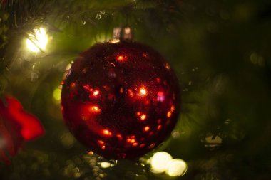 Noel ağacında Noel balosu. Noel için parlak bir süsleme. Cam bir top asılır ve ışığı yansıtır. Tatil tasarımı. Arka plan Noel ağacını süsleyecek..