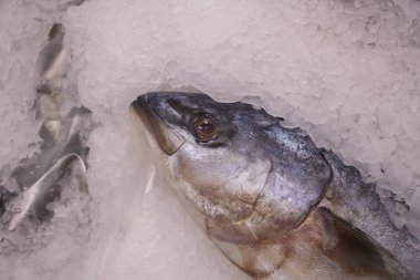 Buzda donmuş balık.