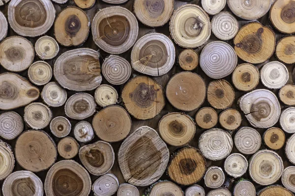 Textura de diferentes tipos de madeira . — Fotografia de Stock