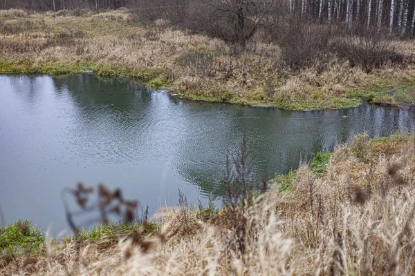 Lugn flod en höstdag. — Stockfoto