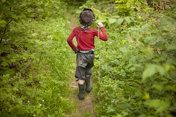 Un niño camina por el bosque. —  Fotos de Stock