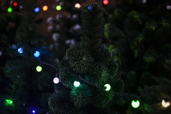 Guirnaldas en el árbol de Navidad. — Foto de Stock