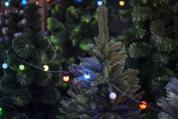 Guirlandas na árvore de Natal. — Fotografia de Stock