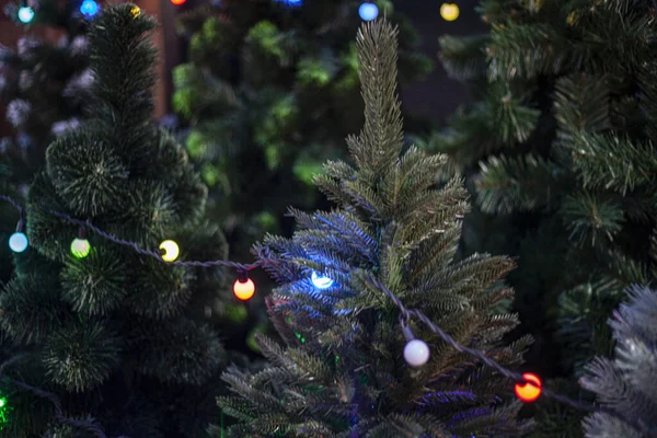 Bloemenslingers op de kerstboom. — Stockfoto