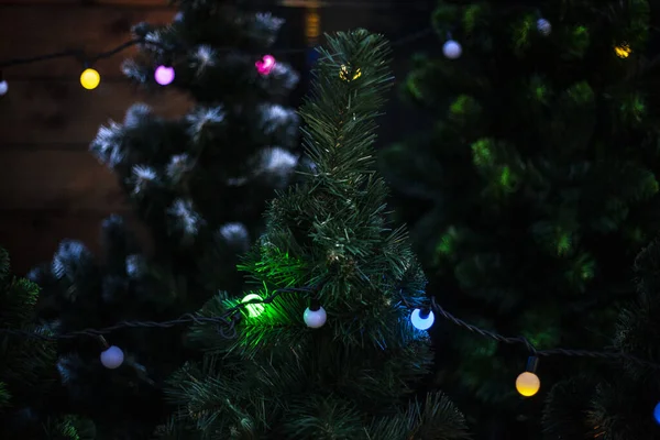 Guirnaldas en el árbol de Navidad. —  Fotos de Stock