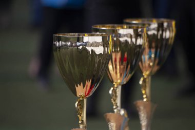 Futbol oyuncularının şampiyonluk kupaları.