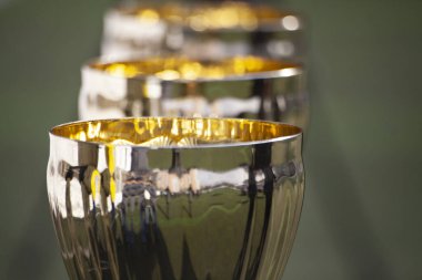 Futbol oyuncularının şampiyonluk kupaları.