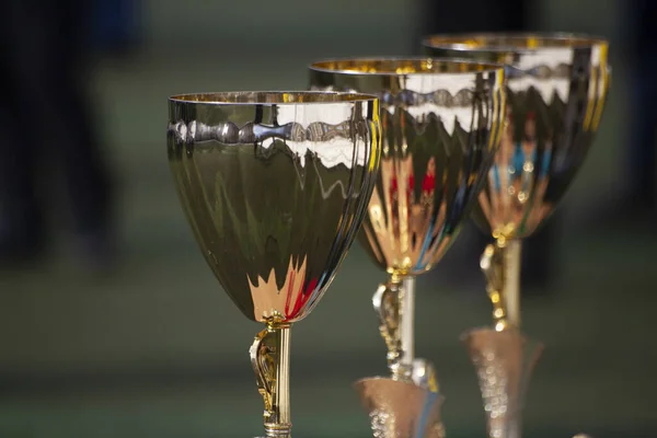 Championship cups of football players. — Stock Photo, Image