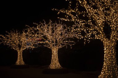 Ağaçtaki çelenkler