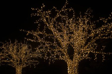 Ağaçtaki çelenkler