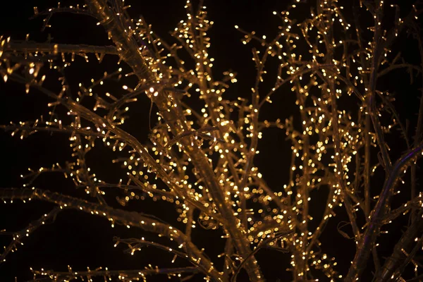 Garlands on a tree — Stock Photo, Image