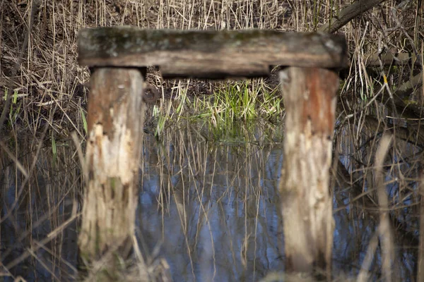 The remainder of the wooden structure — Stock Photo, Image