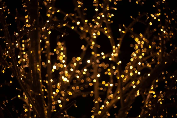 Guirnaldas brillan en la oscuridad —  Fotos de Stock