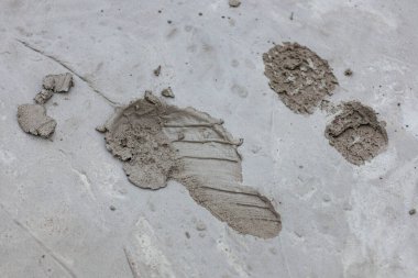 Islak çimentoda ayak izi