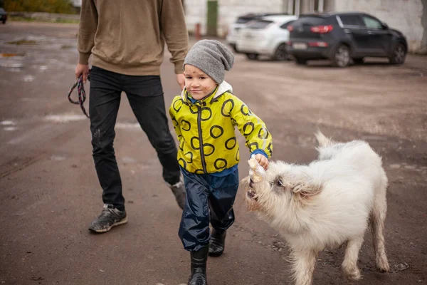 A child plays with a dog. — Stock Photo, Image