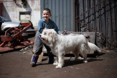 Bir çocuk bir köpekle oynar..