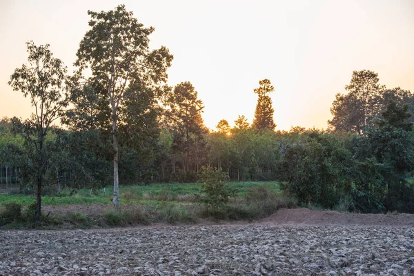 O sol estava a cair. — Fotografia de Stock