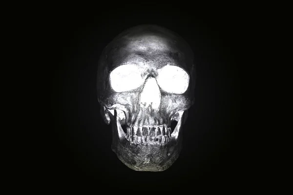 Martwa natura czaszki ciemny ton, koncepcja Halloween — Zdjęcie stockowe