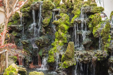 Geleneksel Çince özel Bahçe