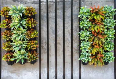 Nemli ve küçük bir toprak kap, küçük Bahçe decorat ağacında grup