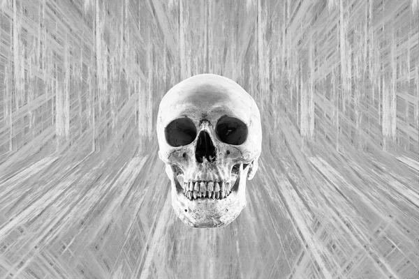 Black White Skull Human Halloween Background — Stock Photo, Image