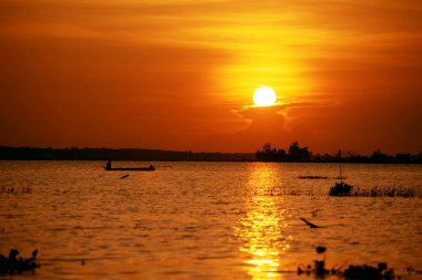 Asyalı balıkçılar Tayland 'da bir bataklıkta teknede balık tutarak balık yakalar..