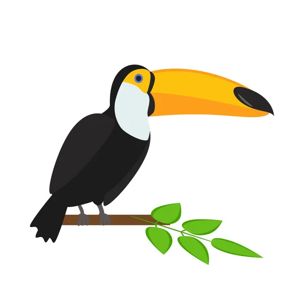 Pássaro tucano. Ilustração vetorial . — Vetor de Stock