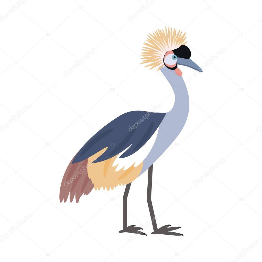 African bird. Crowned crane. Isolated on white background. Vector illustration