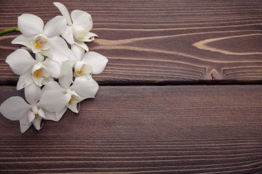 Ahşap arkaplanda beyaz orkide