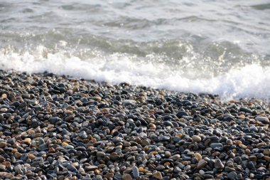 Çakıl taşı deniz kıyısı