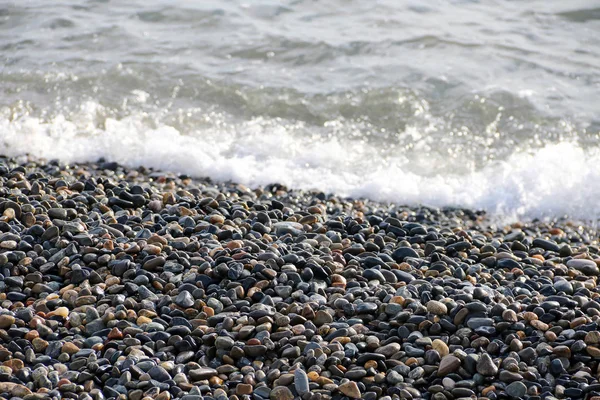 Çakıl taşı deniz kıyısı