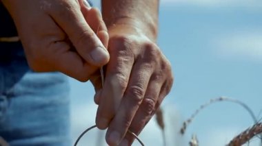 Olgun buğday alanında çiftçi