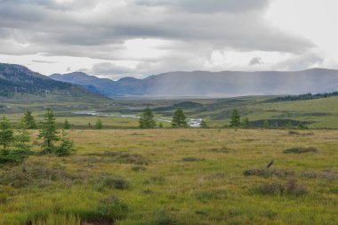 Doğu Sayan dağları. Yaz manzarası