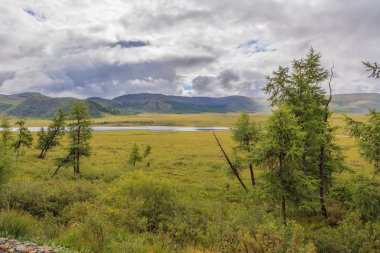 Doğu Sayan dağları. Yaz manzarası