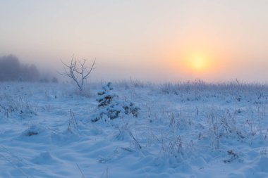 Sisli sabah güneşi çayırların üzerinden yükseliyor. Kış manzarası.