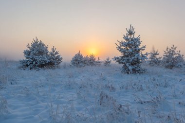 Sisli sabah güneşi çayırların üzerinden yükseliyor. Kış manzarası.