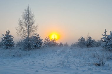 Sisli sabah güneşi çayırların üzerinden yükseliyor. Kış manzarası.