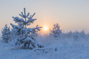 Sisli sabah güneşi çayırların üzerinden yükseliyor. Kış manzarası.
