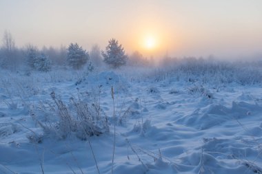 Sisli sabah güneşi çayırların üzerinden yükseliyor. Kış manzarası.