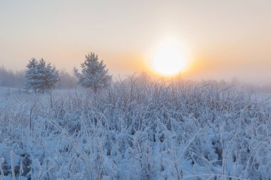 Sisli sabah güneşi çayırların üzerinden yükseliyor. Kış manzarası.