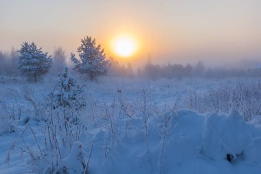 Sisli sabah güneşi çayırların üzerinden yükseliyor. Kış manzarası.