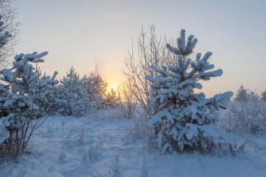 Sisli sabah güneşi çayırların üzerinden yükseliyor. Kış manzarası.