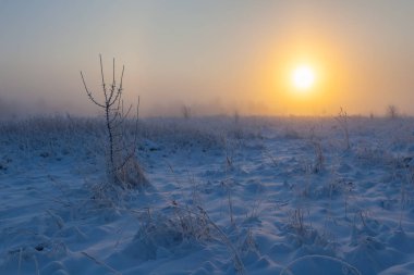 Sisli sabah güneşi çayırların üzerinden yükseliyor. Kış manzarası.