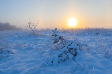 Sisli sabah güneşi çayırların üzerinden yükseliyor. Kış manzarası.