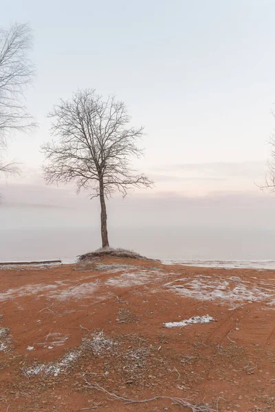Shore Frozen Lake Winter Landscape — Stock Photo, Image