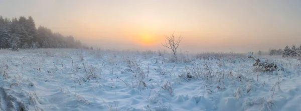 Foggy Matin Soleil Lève Sur Prairie Hiver Paysage Hivernal — Photo