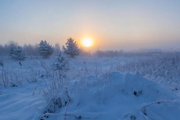 Nebelige Morgensonne Steigt Über Der Winterwiese Auf Winterlandschaft — Stockfoto