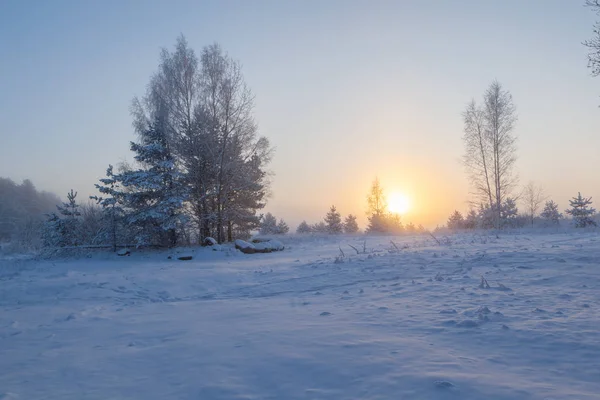 多雾的晨阳升起在冬季的草地上 冬季景观 — 图库照片