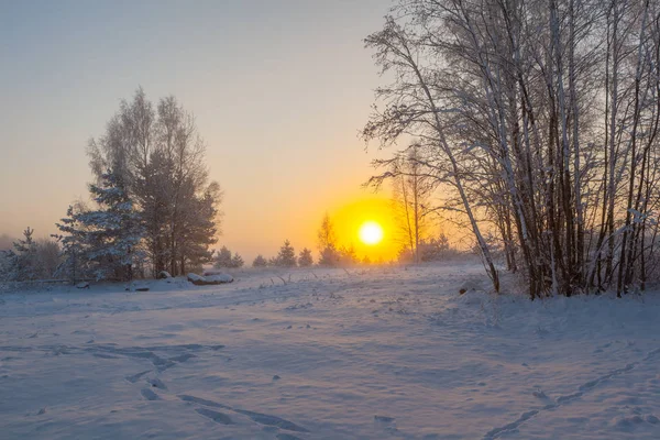 Sisli sabah güneşi çayırların üzerinden yükseliyor. Kış manzarası.